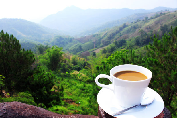 Jamaica: Blue Mountain coffee