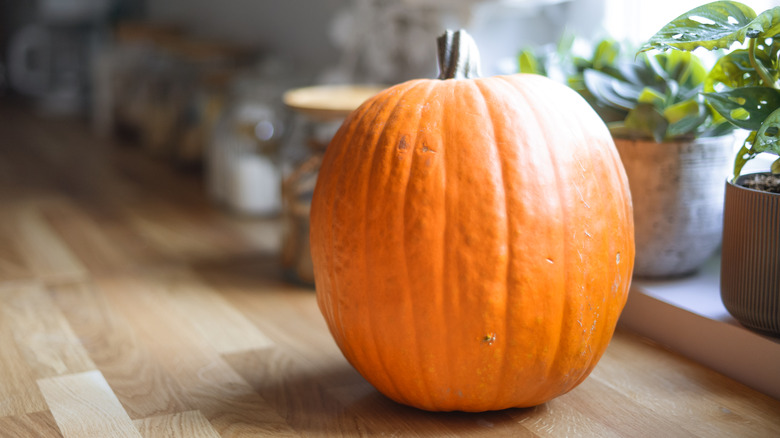 ripe pumpkin on kitchen table