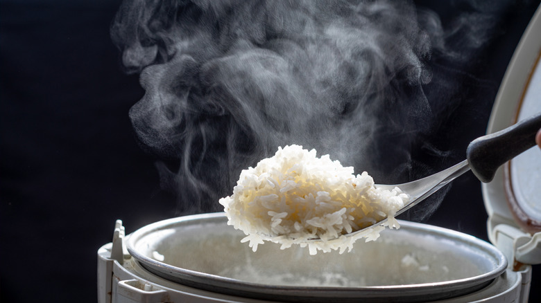 Rice on a spoon over a rice cooker