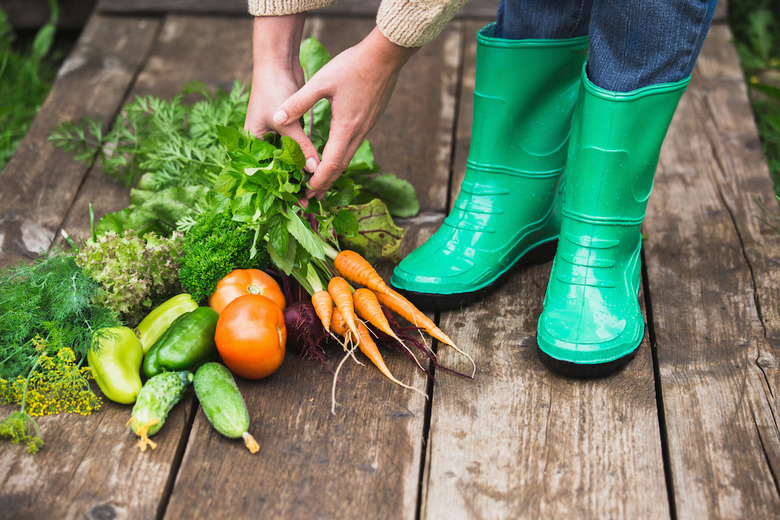 Grow your own vegetables