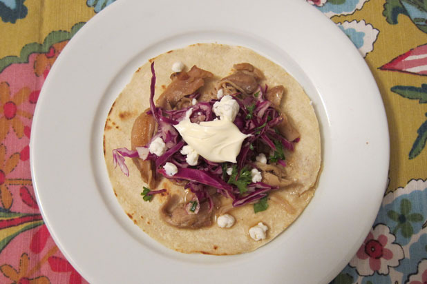 Beer Braised Chicken Tacos Recipe