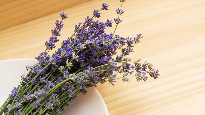 a bundle of dried lavender on a white plate on a kitchen counter