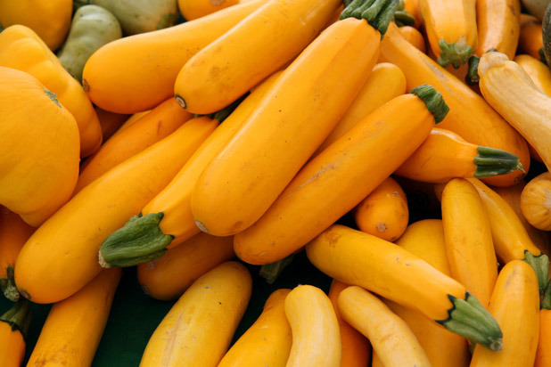 Yellow Summer Squash