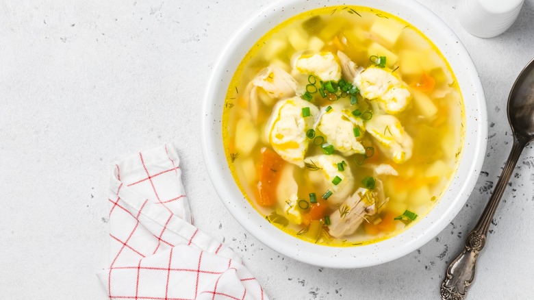 Chicken and dumplings in bowl