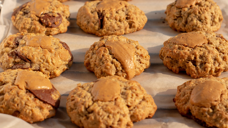 Soft oatmeal cookies on tray