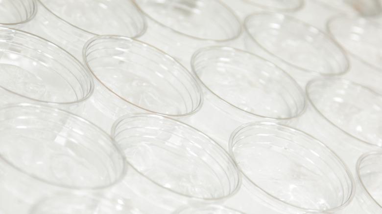 Rows of water in plastic cups