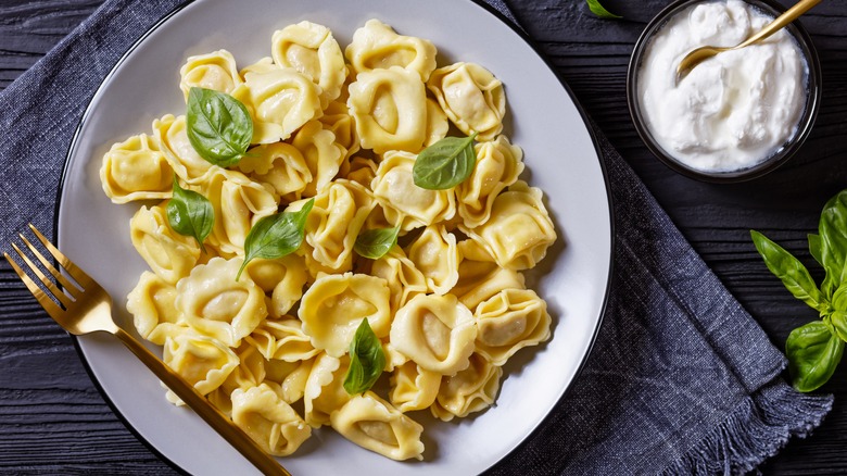 Cheese tortelloni on white plate