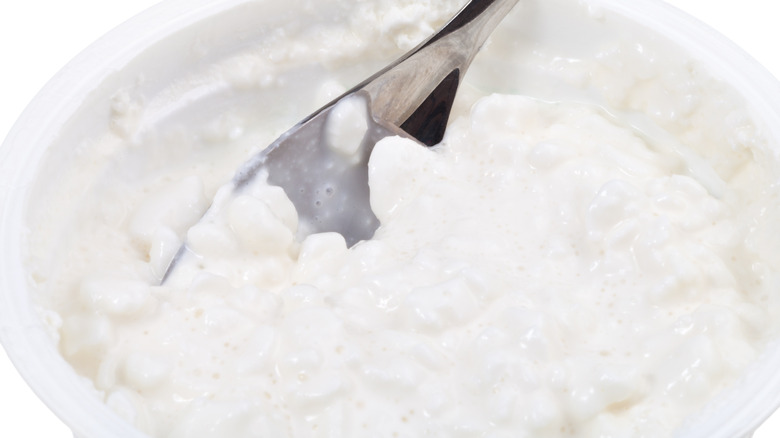 Spoon in cottage cheese