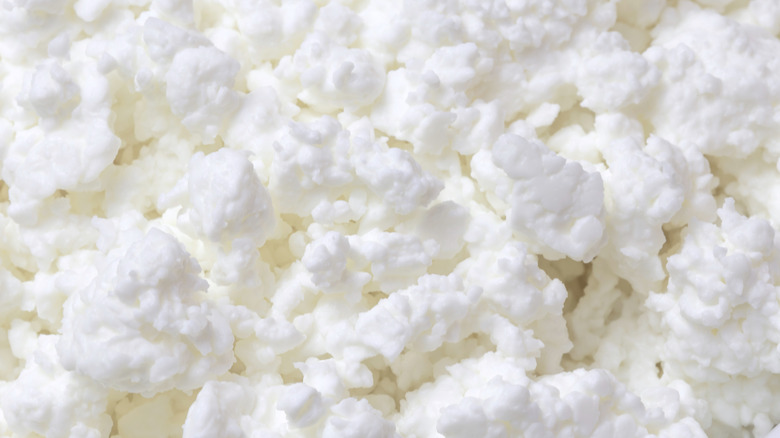 Pile of cottage cheese