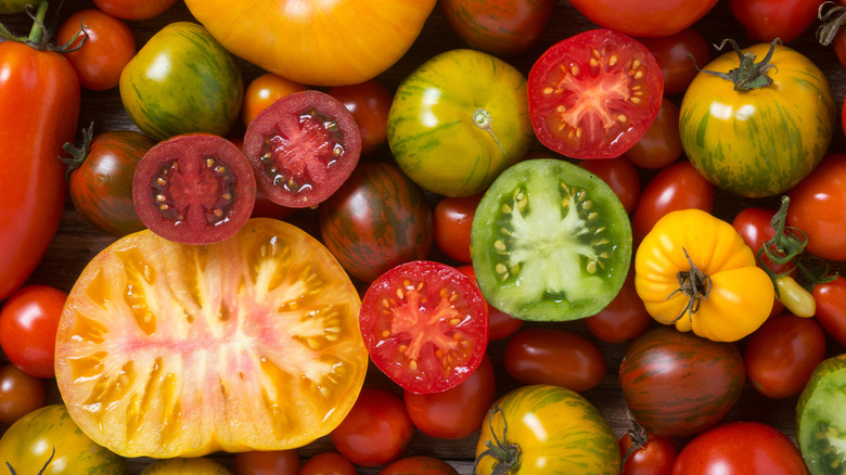 Variety of tomatoes