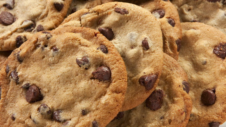 Close-up of chocolate chip cookies