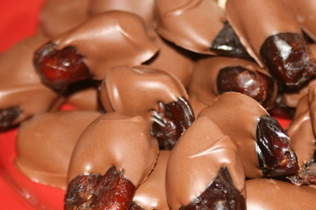 Chocolate-Covered Cockroaches