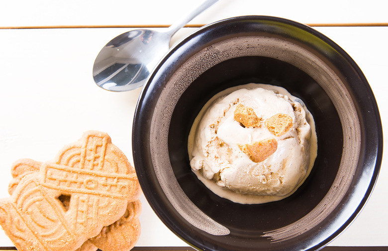 Cookie Butter Ice Cream