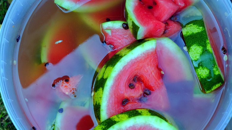 slices of watermelon soaking in alcohol