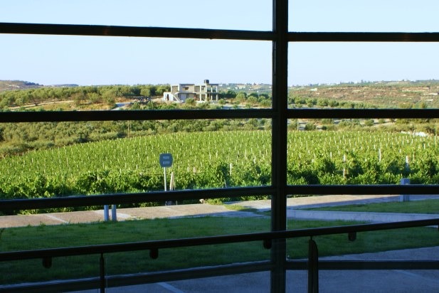 The View from Boutari Winery