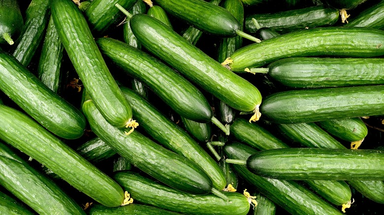 Lots of cucumbers