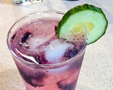 Cucumber Gin and Tonic with Blueberries