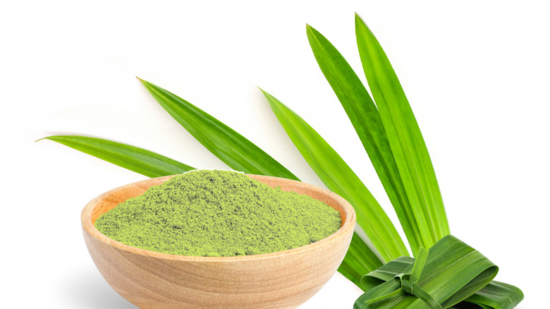 green pandan powder in a wooden bowl with pandan leaves beside