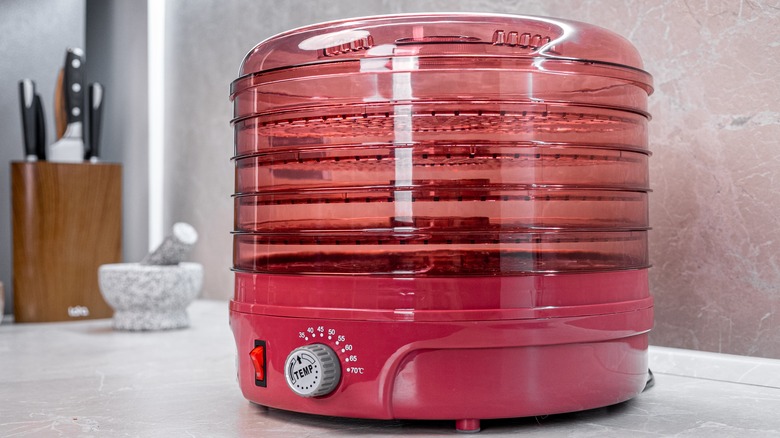 Food dehydrator on a kitchen counter