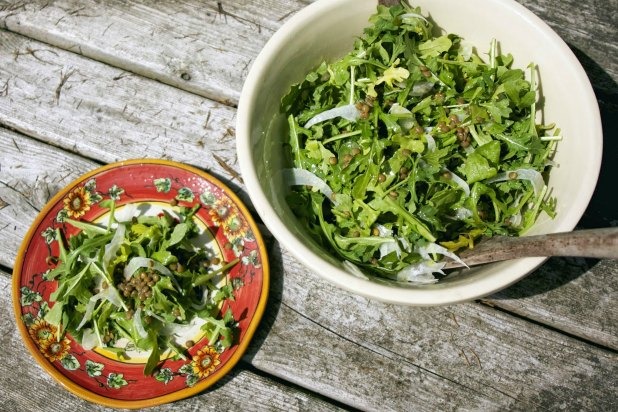 Arugula, Fennel, and Green Lentil Salad