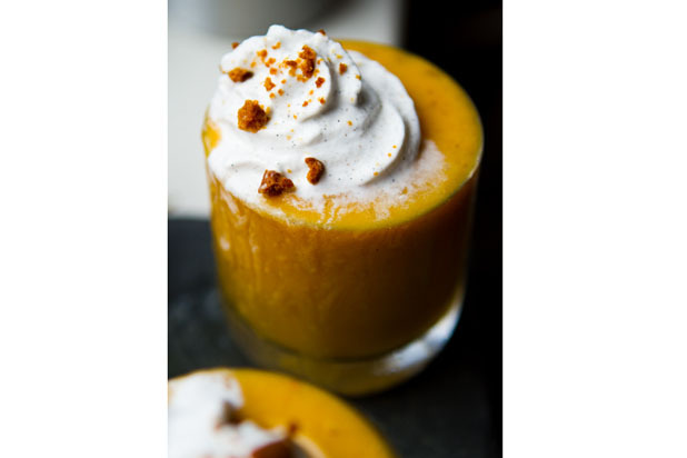 Apple Cider Pumpkin Pie Smoothie