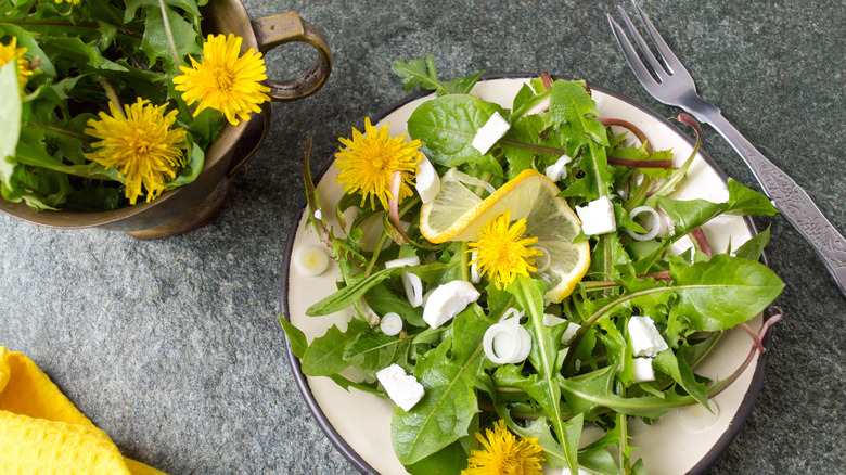 bowls of dandelion salad