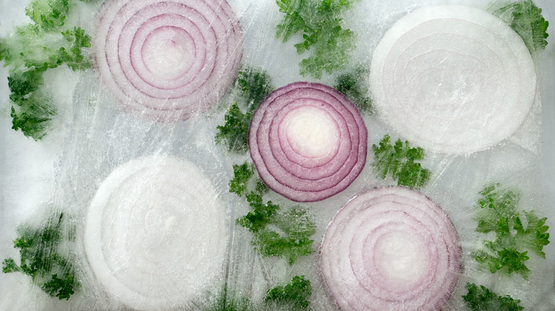 onions and herbs frozen in ice