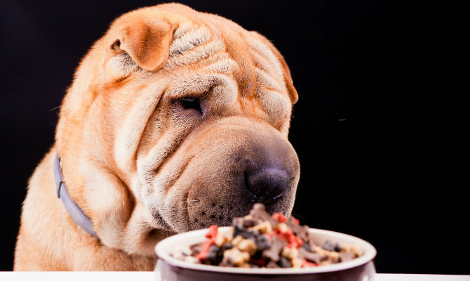  For Dogs: Cut the Excess Food