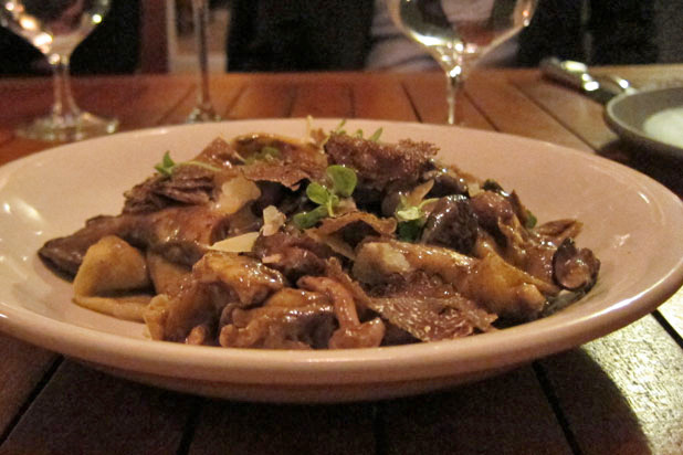 Mushroom Pappardelle