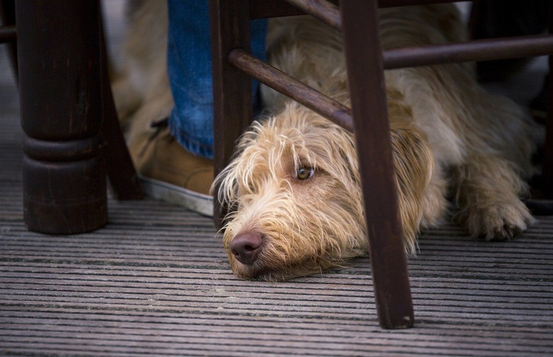 No Sitting Under the Table 