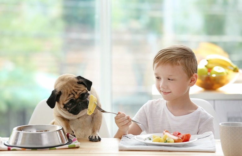 No Feeding From Your Flatware