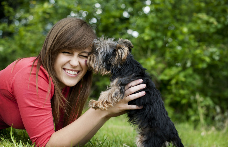 Dog Licking