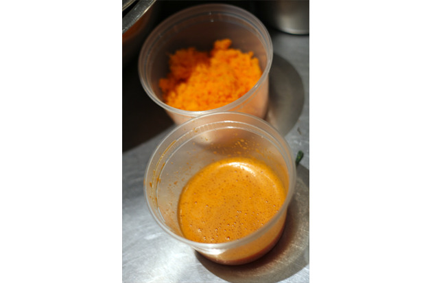 Carrot Pulp and Juice