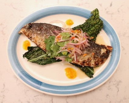 Dish with Diane: Chef Adam Schop's Grilled Spanish Mackerel