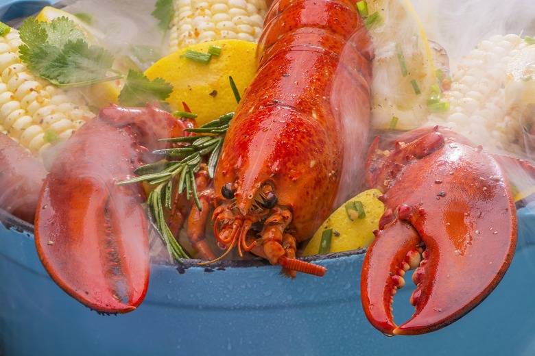 Steamed Lobster