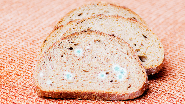 Slices of moldy bread