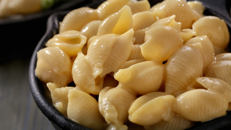 Shell pasta and cheese sauce