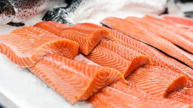 Fillets of salmon on ice