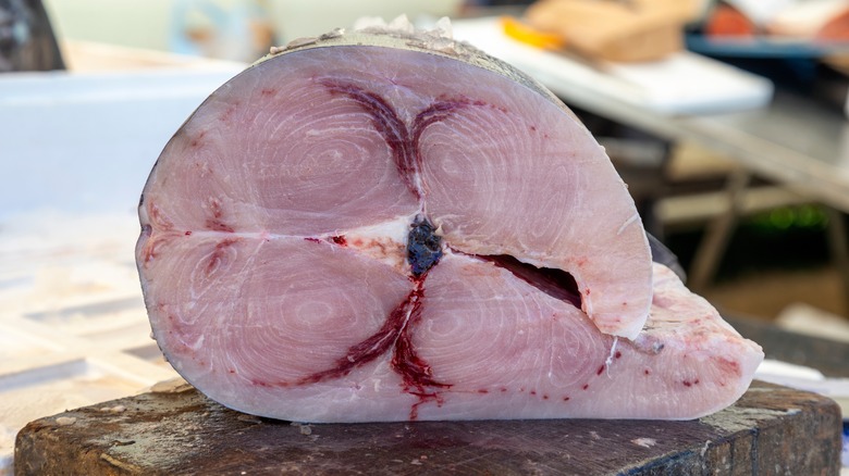 A fillet of swordfish exhibiting light and dark meat