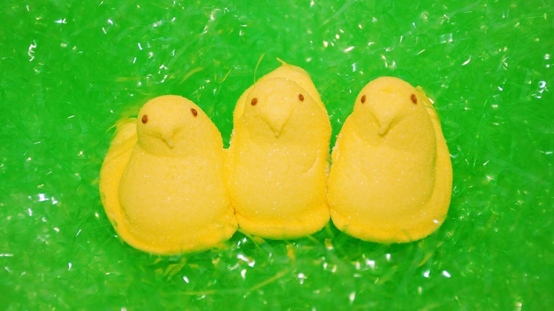 three yellow peeps