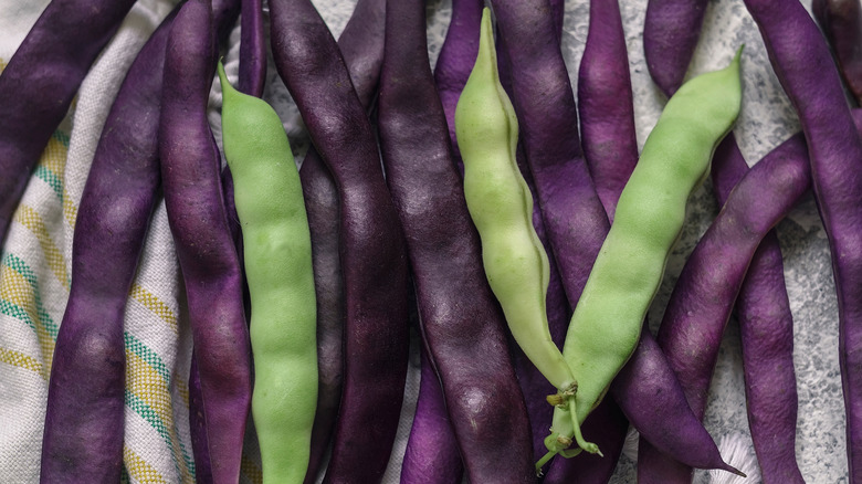 Green and purple string beans