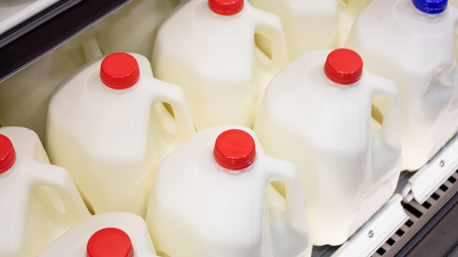 https://www.thedailymeal.com/img/gallery/do-those-indents-on-the-sides-of-gallon-milk-jugs-actually-do-anything/l-intro-1676055187.jpg