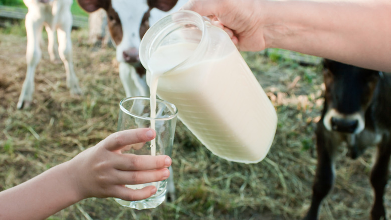 Someone pouring a glass of milk