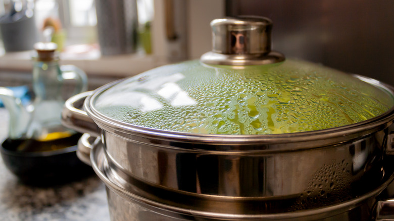 https://www.thedailymeal.com/img/gallery/do-you-need-a-steamer-pot-to-properly-steam-food/intro-1674537167.jpg