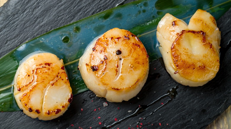 seared scallops close-up