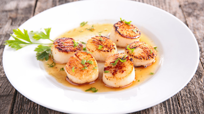 seared scallops in a dish