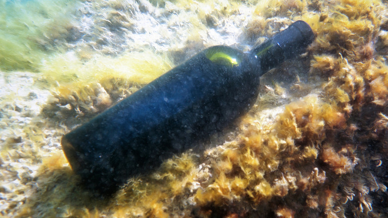 Bottle of wine underwater