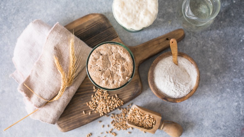 Sourdough starter with wheat berries