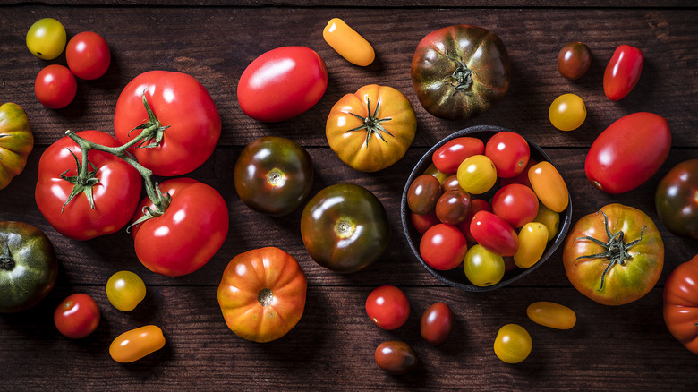 Different types of tomatoes