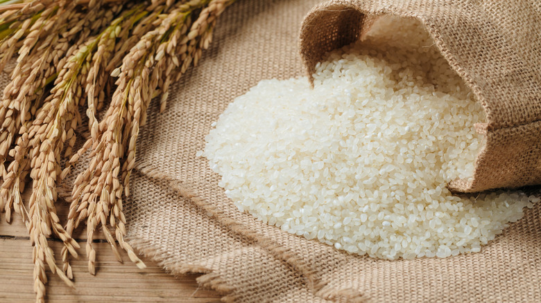 White rice spilled from bag and ear of rice next to it